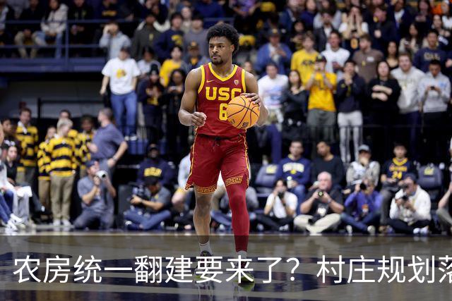 农房统一翻建要来了？村庄规划落地，这些地方下半年优先动工